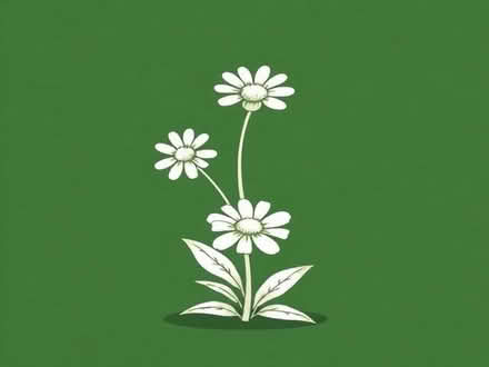 Photo of free Michaelma daisy plant (Wimbledon Village SW19) #1