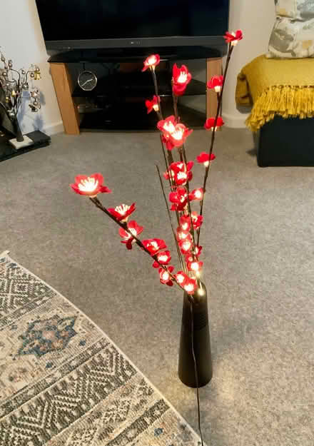Photo of free Illuminated Plug in Floral Stems. (Kendal LA9) #1