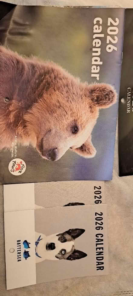 Photo of free Choice of 6 small 2026 calendars (Churchgate EN8) #3