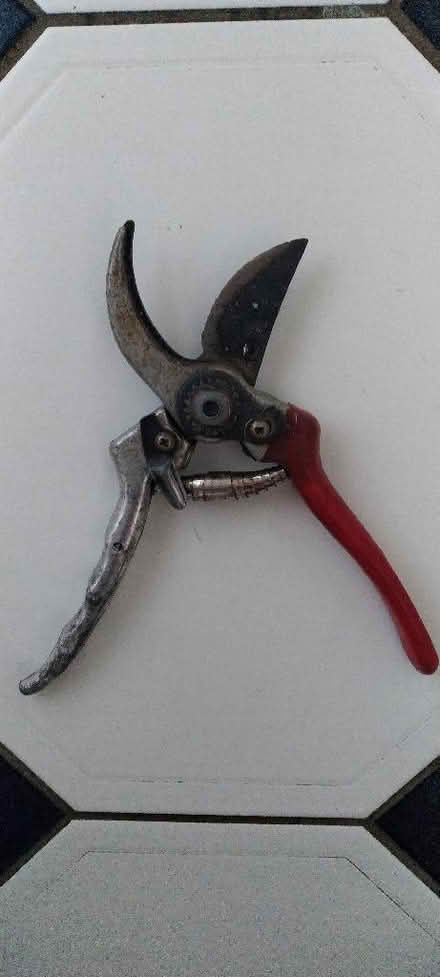 Photo of free Secateurs needing repair (Kennington OX1) #1