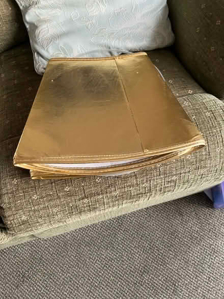 Photo of free Christmas Tree Skirt (Bare LA4) #1