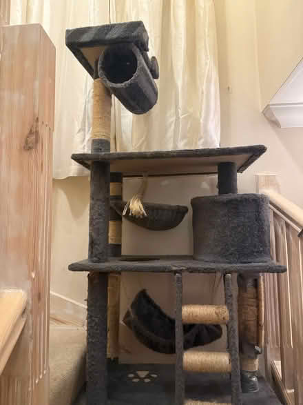 Photo of free Cat Climbing frame (BN8) #1