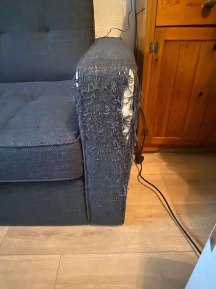 Photo of free 2 person sofa bed (Streatham Park SW16) #2