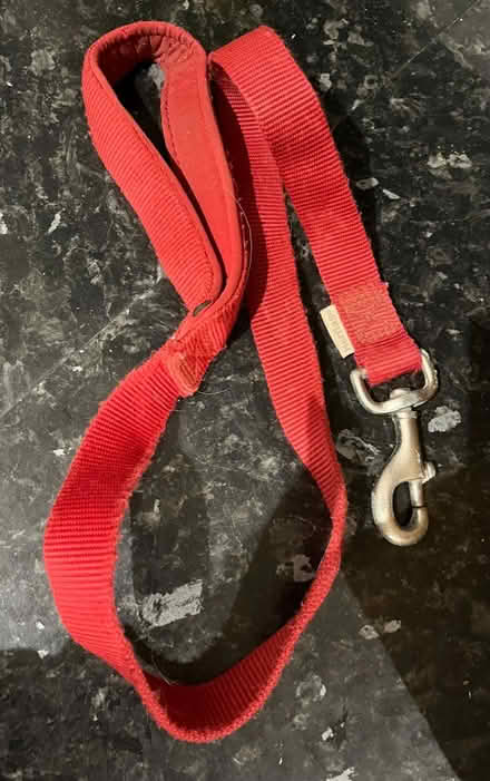 Photo of free Dog lead (Titchfield Common PO14) #1