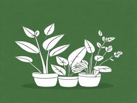 Photo of large plants real or fake (Moor Allerton LS17) #1