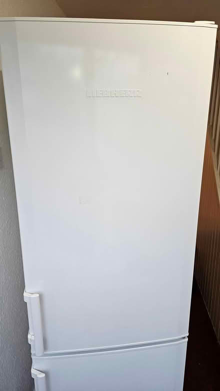 Photo of free Fridge freezer (SE19) #4
