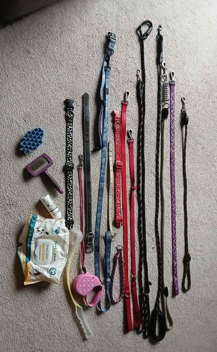 Photo of free Dog items (Knaphill GU21) #1