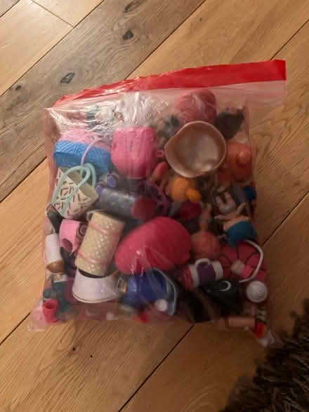 Photo of free LOL dolls and accessories (Hemel, HP3) #2