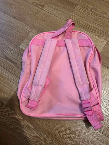 Photo of free Gabbys dollhouse backpack (St Leonard’s TN38) #2