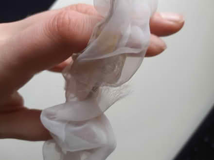 Photo of free Scrunchie (Marston, Oxford OX3) #2