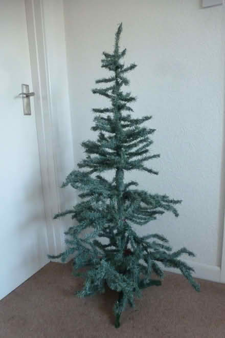 Photo of free Christmas Tree (Malvern Link WR14) #1