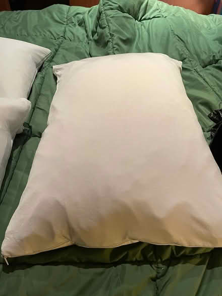 Photo of free Standard poly-fill pillow (Willow Glen - Dry Creek) #1