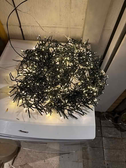 Photo of free Christmas lights (Poole BH14) #3