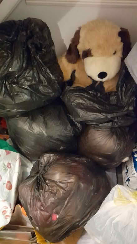 Photo of free Teddys (Netherley L27) #3