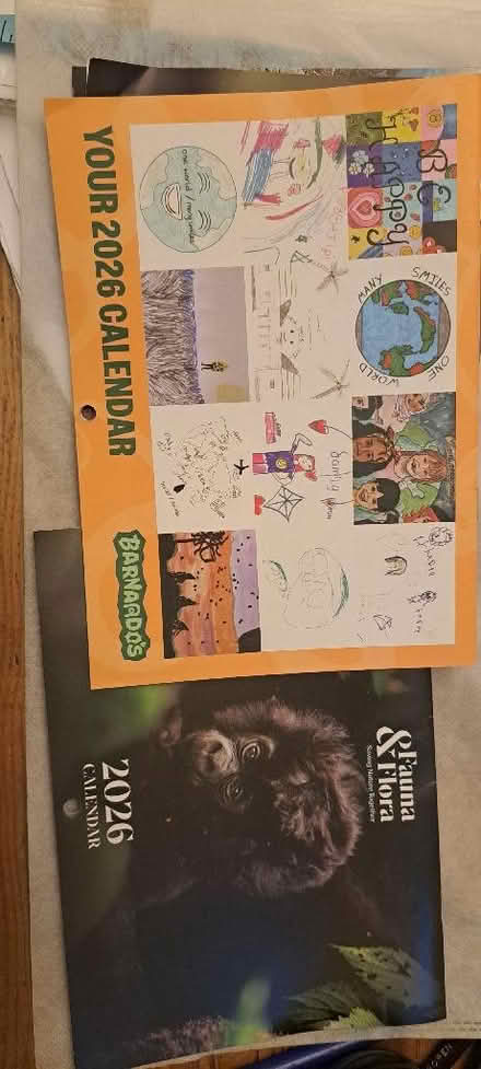 Photo of free Choice of 6 small 2026 calendars (Churchgate EN8) #4