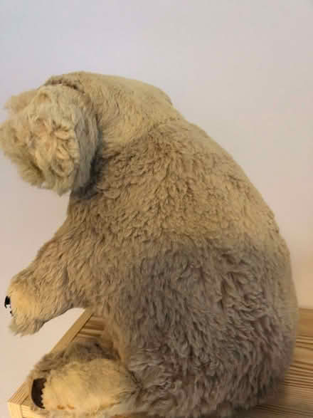 Photo of free Stuffed Real fur koala bear - Vintage (North Ascot SL5) #3