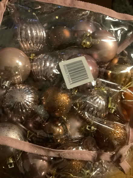 Photo of free Xmas #2 (Hatfield AL10) #2