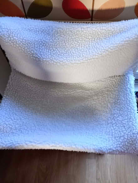 Photo of free Cat hammock (Harrogate HG2) #1