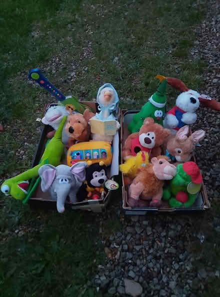 Photo of free Various soft toys (Lowestoft NR33) #1