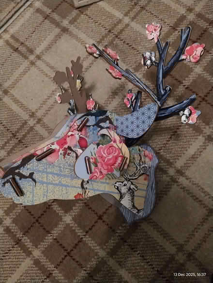 Photo of free Reindeer? Head (Bridlington YO15) #2