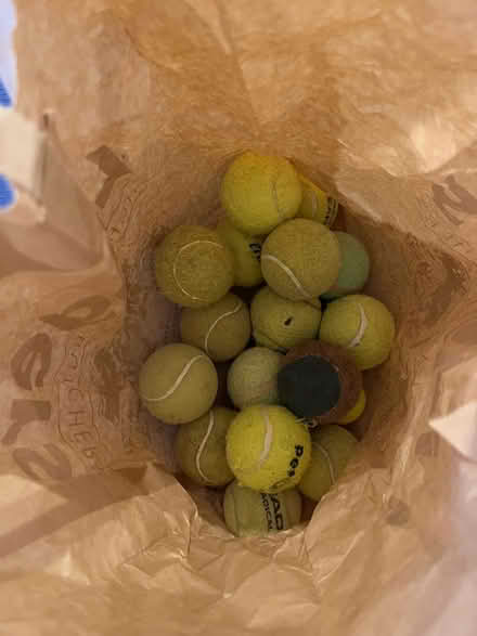 Photo of free Bag of tennis balls for dogs (Cemetery Hill MK41) #1