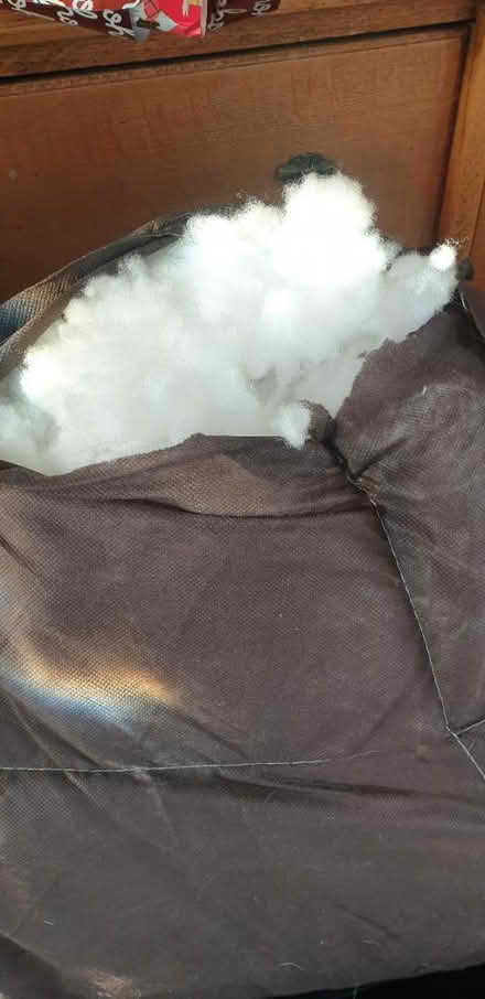 Photo of free Stuffing / padding for craft work (Between March and Coates.) #1