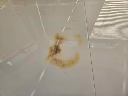 Photo of free Dining room table (Wokingham) #4