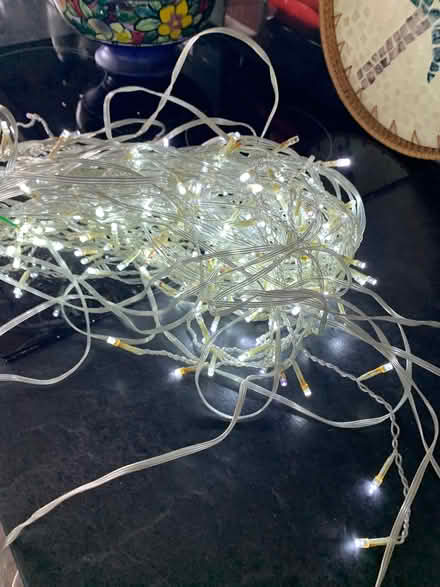 Photo of free Indoor/outdoor fairy lights (Aldridge WS9) #1