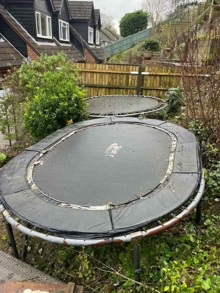Photo of free Large trampolines (Lewes BN7) #1