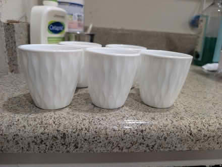 Photo of free Tea cup - 5 oz (Around Sunnyvale Cupertino) #3