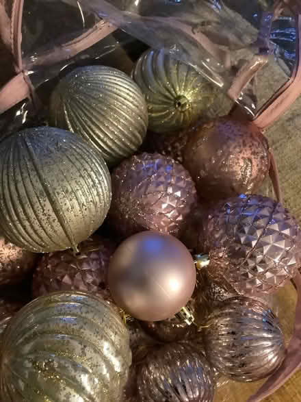 Photo of free Xmas #2 (Hatfield AL10) #1