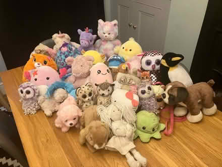 Photo of free Job lot of soft toys/plushies (Port hall place BN1) #1