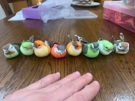 Photo of free Decorative birds (Malvern Link WR14) #1