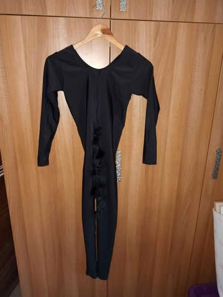 Photo of free Girl's cat dance costume (Perivale) #2