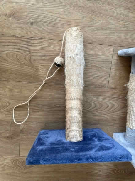 Photo of free Cat tree (Bracknell, RG12) #2
