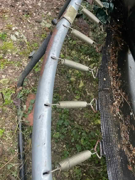 Photo of free Large trampolines (Lewes BN7) #2