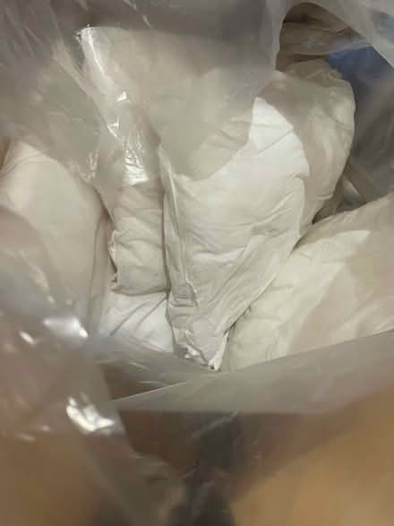 Photo of free 8 cushions without covers (Shotover OX3) #1