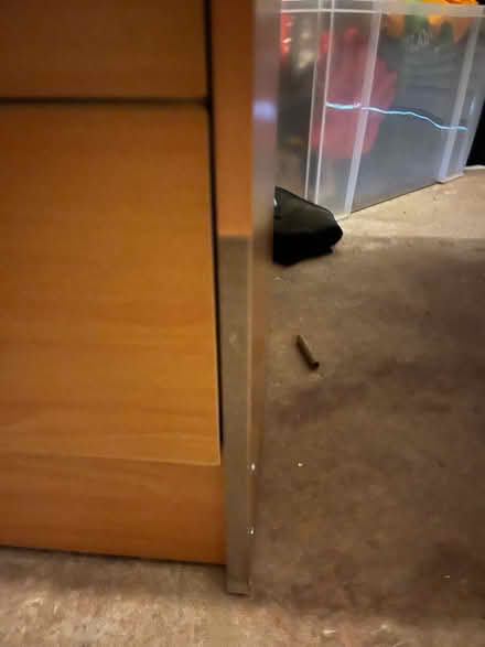 Photo of free Desk and cupboard (Brewood ST19) #2