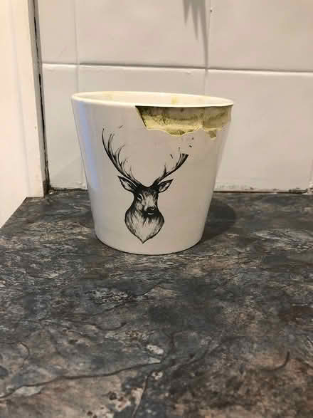 Photo of free Small planter (Sale M33) #1