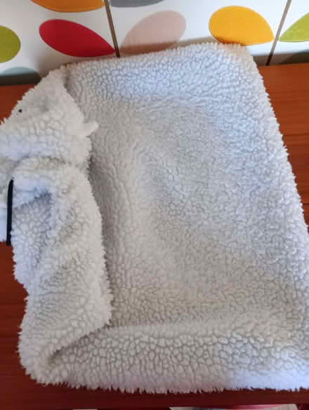 Photo of free Cat hammock (Harrogate HG2) #2