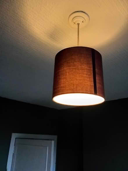 Photo of free Lampshades (Anniesland) #2