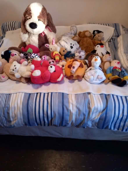 Photo of free large quantity of soft toys (Southwick BN42) #1