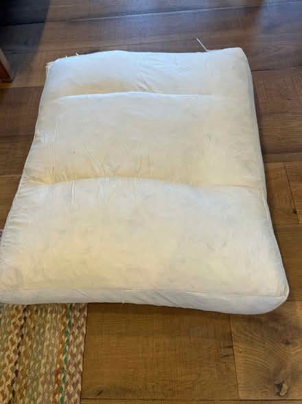 Photo of free 2 base cushions for sofa (Long Sutton, Nr Langport) #2
