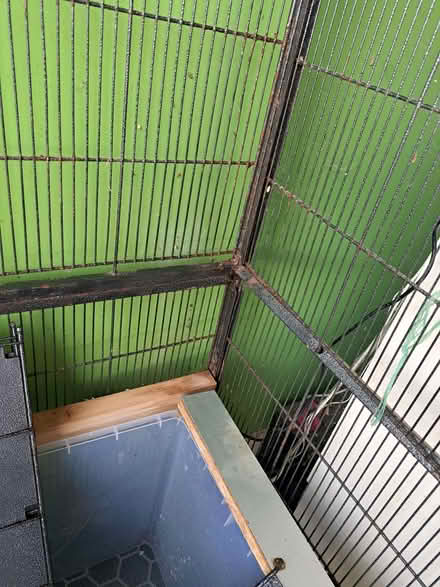 Photo of free Amazing big rodent cage (Widcombe) #4