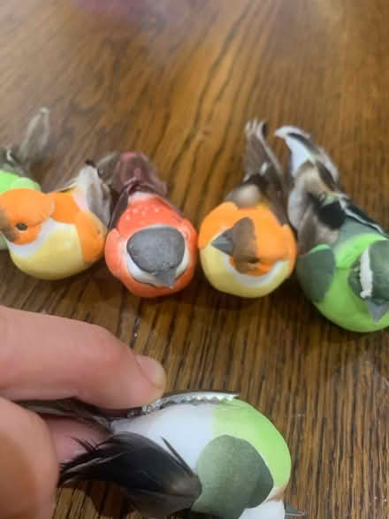Photo of free Decorative birds (Malvern Link WR14) #2
