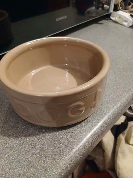 Photo of free Dog bowl (Gillingham ME7) #2