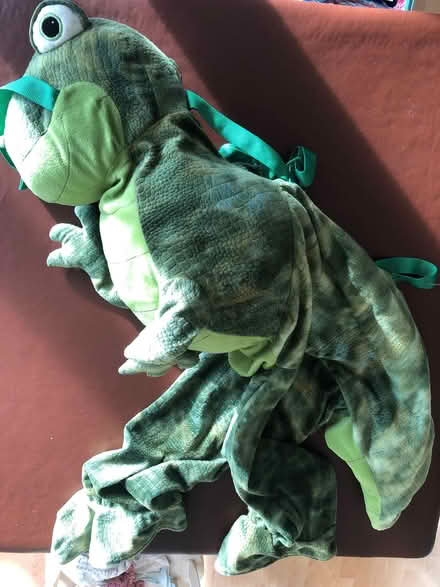 Photo of free Dinosaur Dressing Up (Great Meols CH47) #1