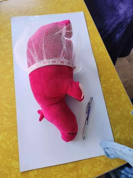 Photo of free Plush Hippo (Maple Leaf / Northgate) #1