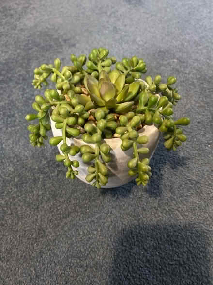 Photo of free Fake Plant in a Grey Pot (Winson Green B18) #1