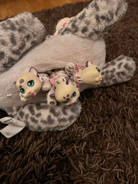 Photo of free Safari Surprise Wild Cat Toy (Hemel, HP3) #2